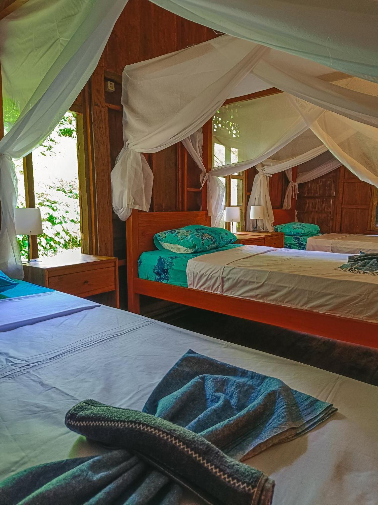 Alaya Ecolodge Pemuteran Εξωτερικό φωτογραφία