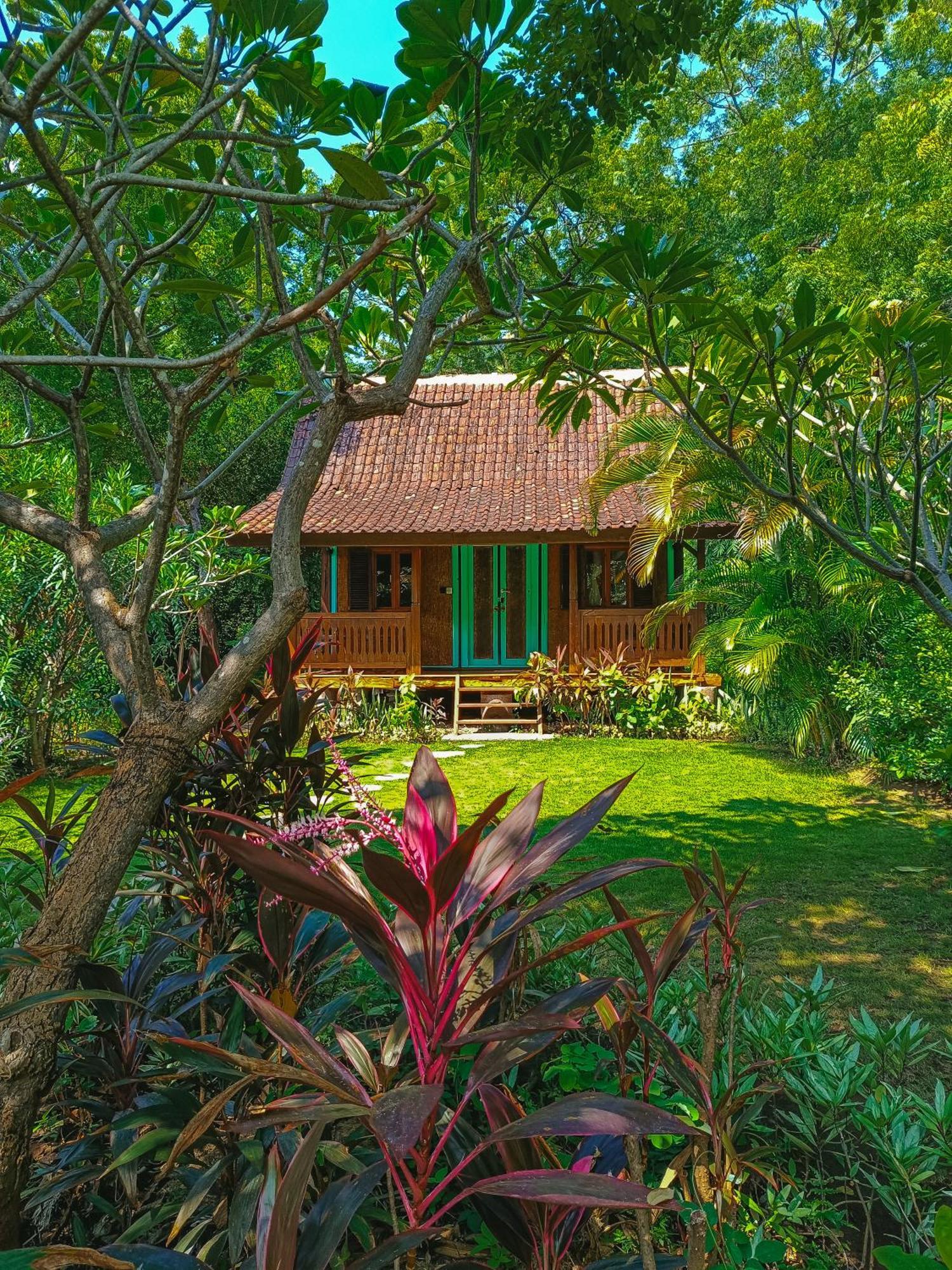 Alaya Ecolodge Pemuteran Εξωτερικό φωτογραφία