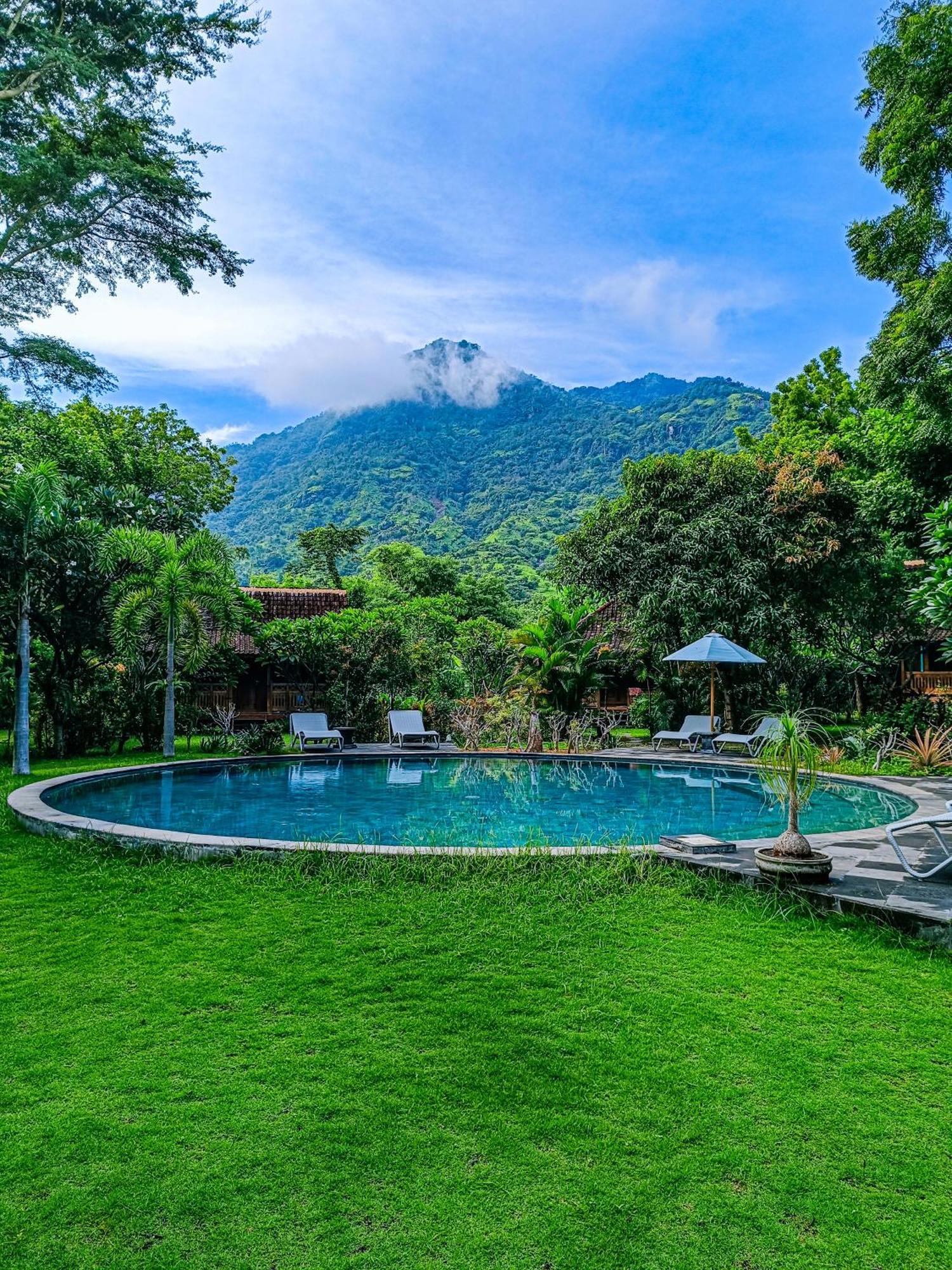 Alaya Ecolodge Pemuteran Εξωτερικό φωτογραφία