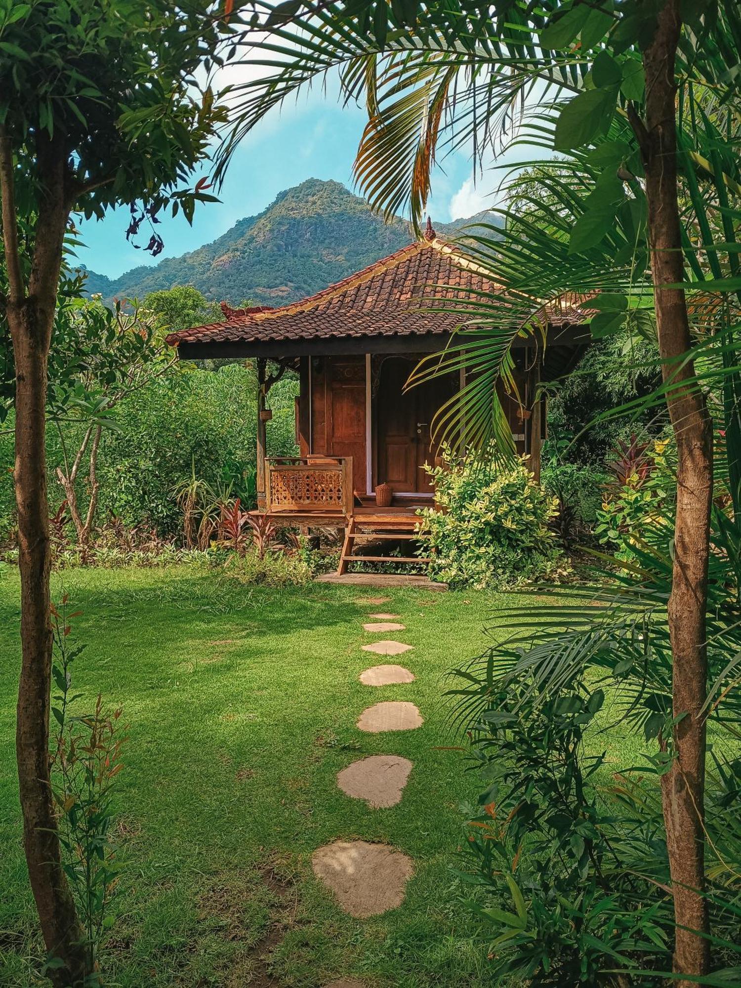 Alaya Ecolodge Pemuteran Εξωτερικό φωτογραφία