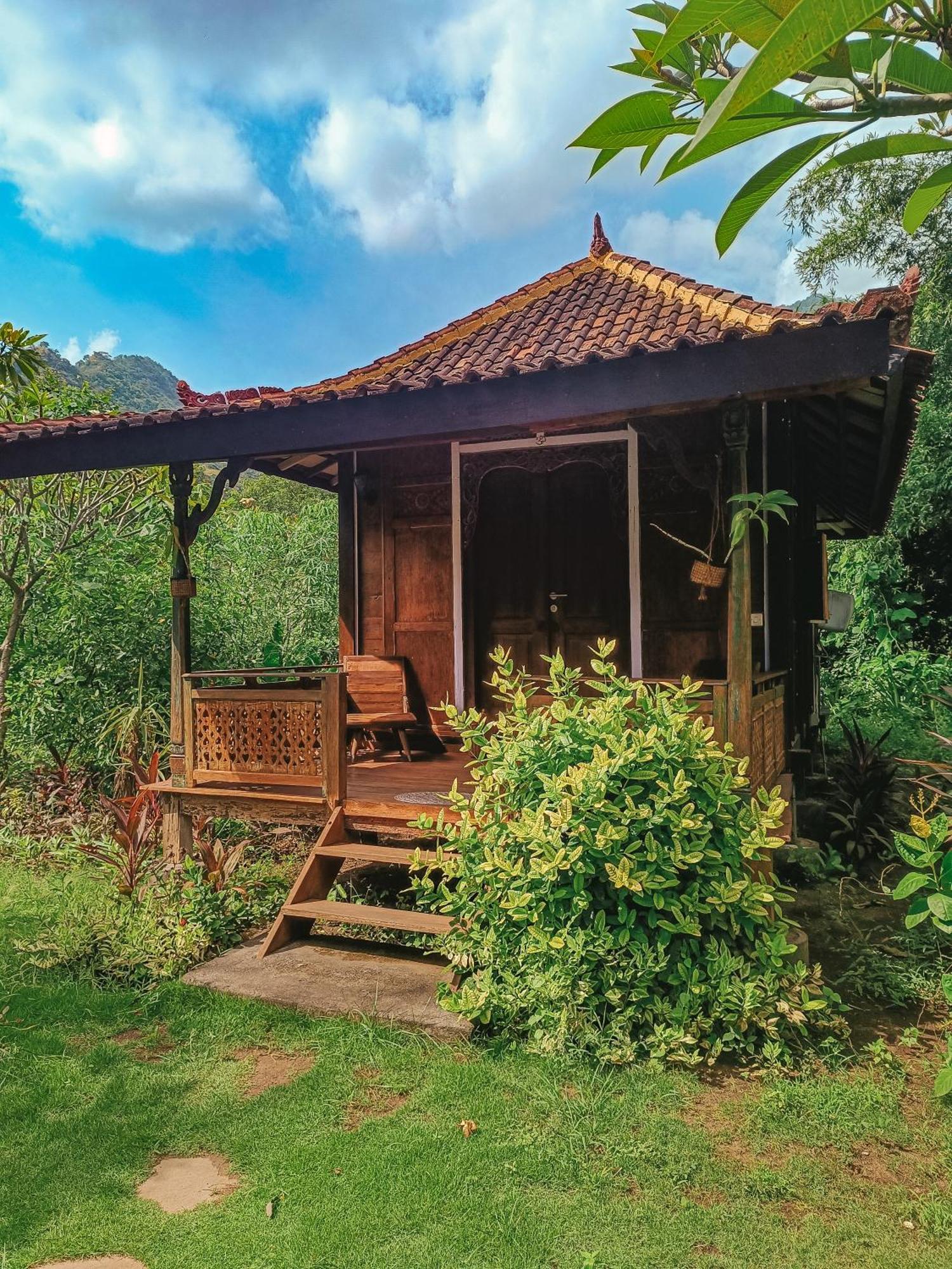 Alaya Ecolodge Pemuteran Εξωτερικό φωτογραφία