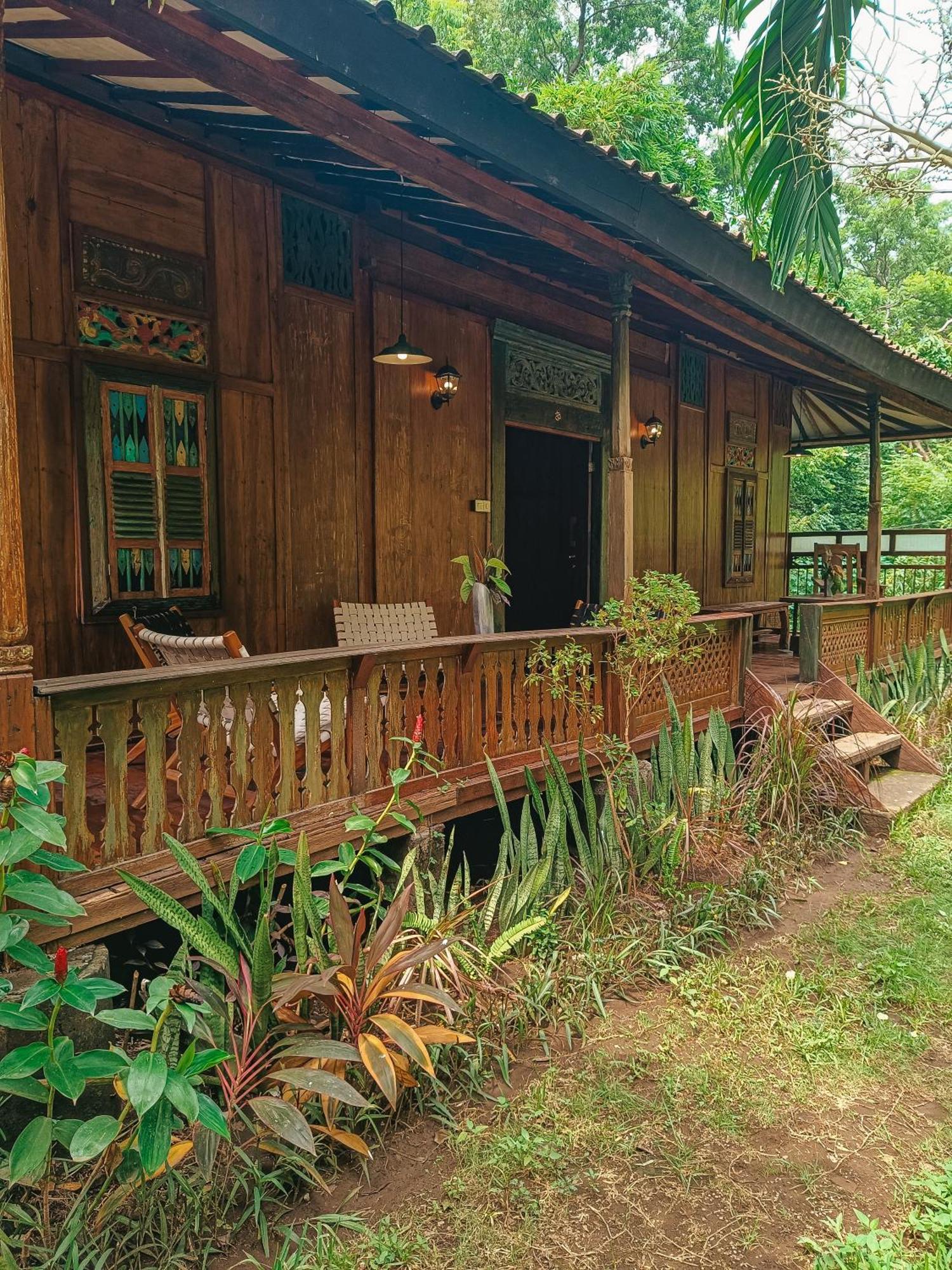 Alaya Ecolodge Pemuteran Εξωτερικό φωτογραφία