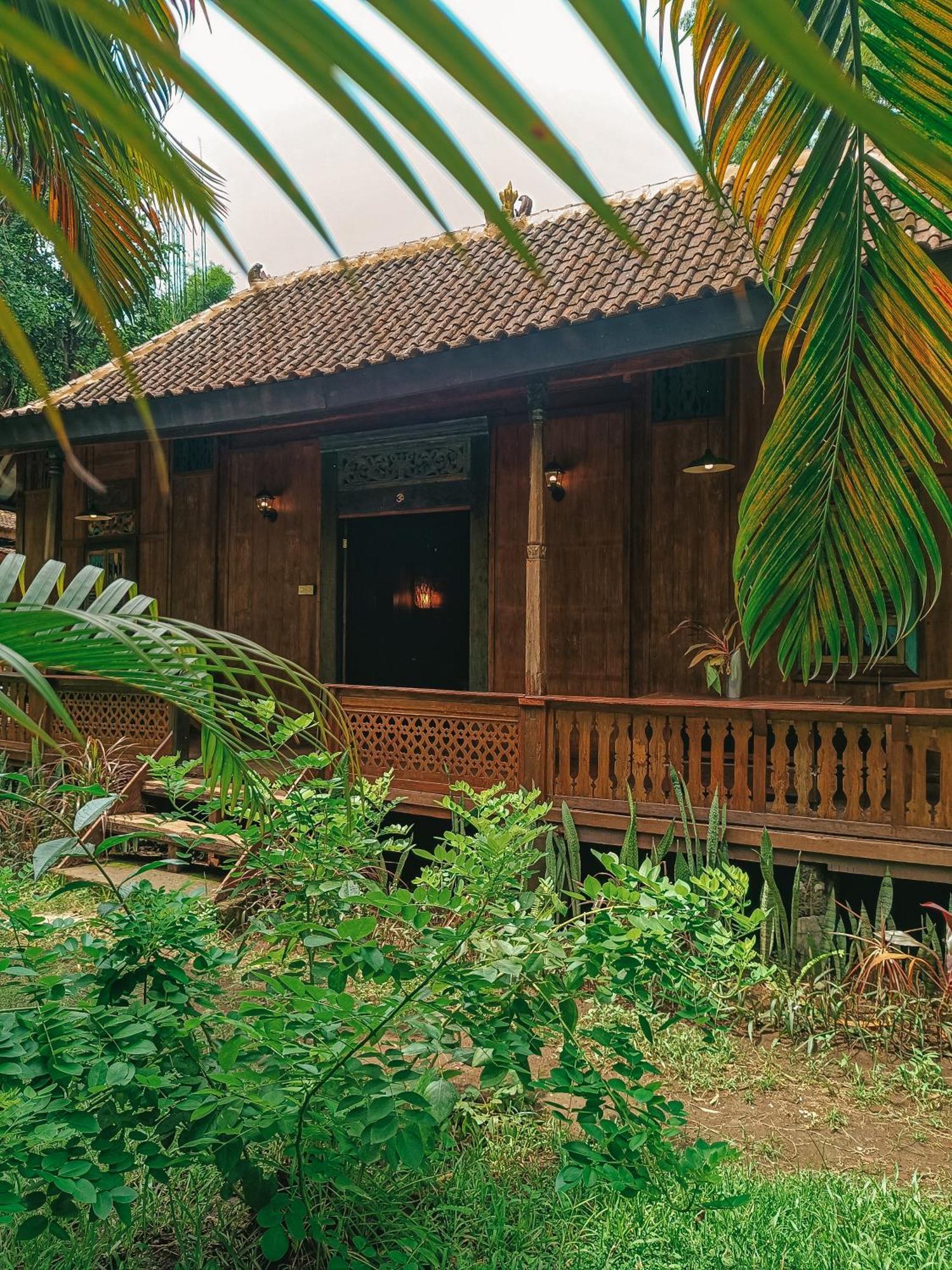 Alaya Ecolodge Pemuteran Εξωτερικό φωτογραφία