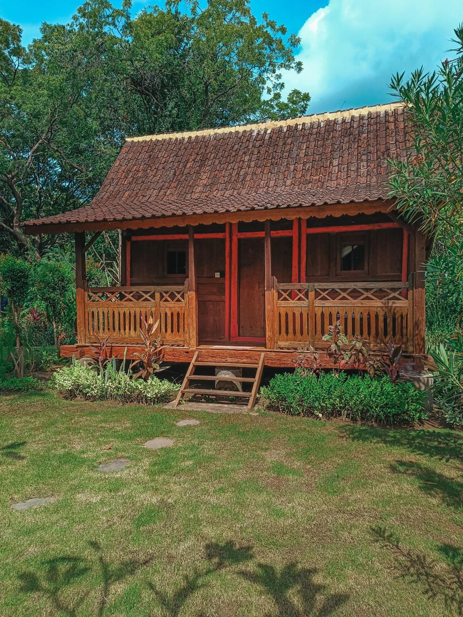 Alaya Ecolodge Pemuteran Εξωτερικό φωτογραφία